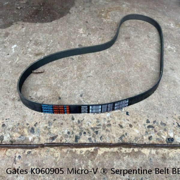 Gates K060905 Micro-V ® Serpentine Belt BELTS OEM