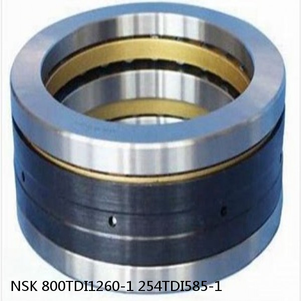 800TDI1260-1 254TDI585-1 NSK Double Direction Thrust Bearings
