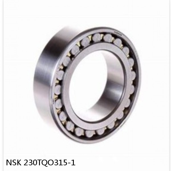 230TQO315-1 NSK Double Row Double Row Bearings