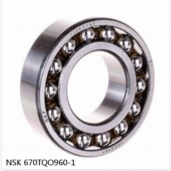 670TQO960-1 NSK Double Row Double Row Bearings