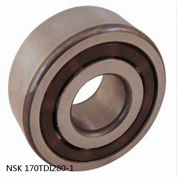 170TDI280-1 NSK Double Row Double Row Bearings