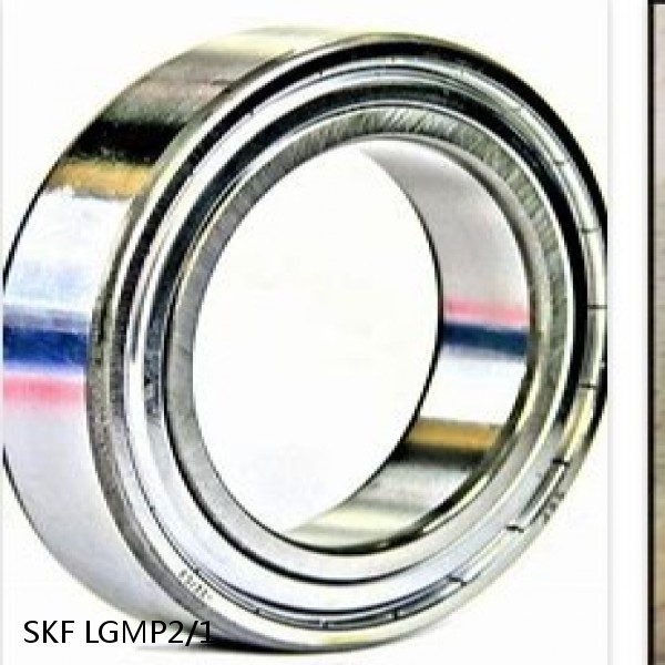 LGMP2/1 SKF Bearing Grease