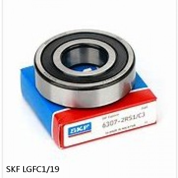 LGFC1/19 SKF Bearing Grease