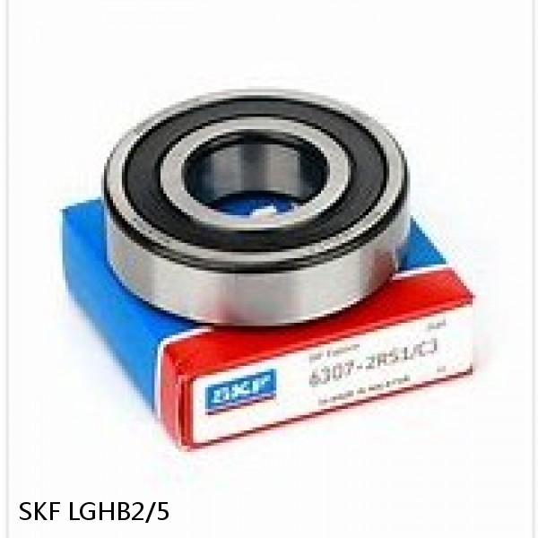 LGHB2/5 SKF Bearing Grease